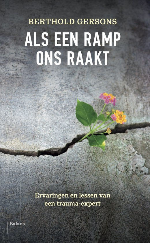 Boek Als een ramp ons raakt